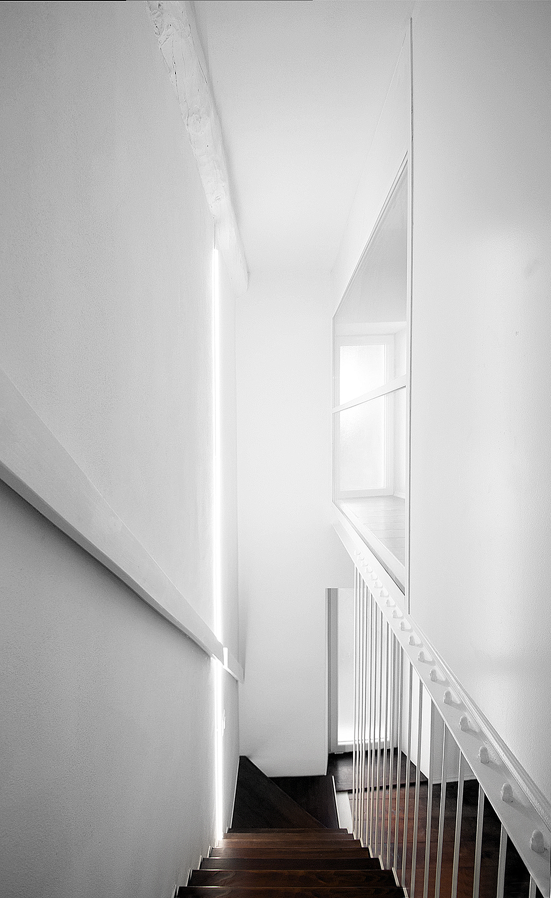 Generic Radicalism by LOKOMOTIV.archs LKMV office. Architizer