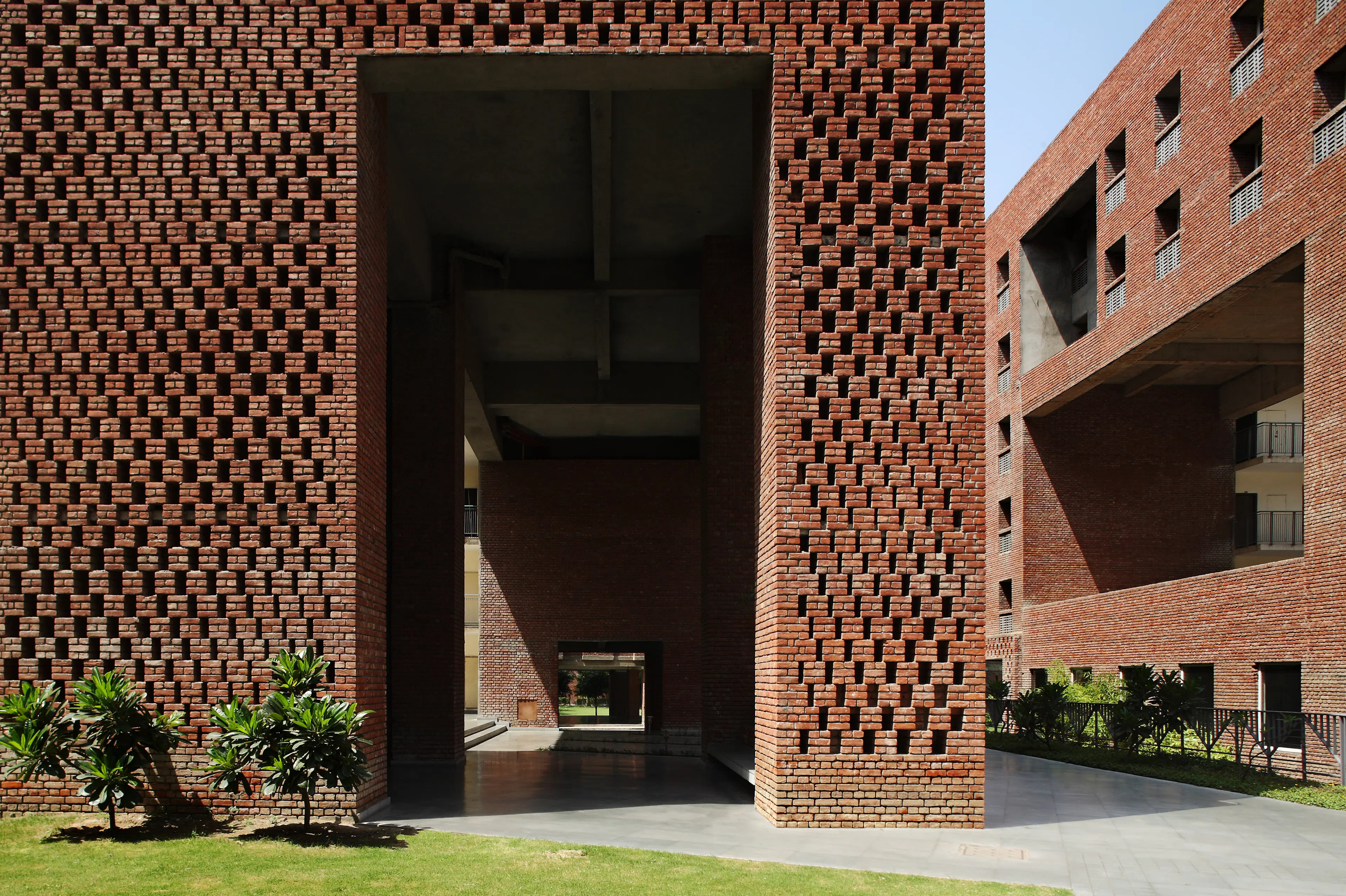 Morphogenesis — 12