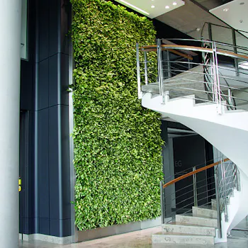 Greenwalls