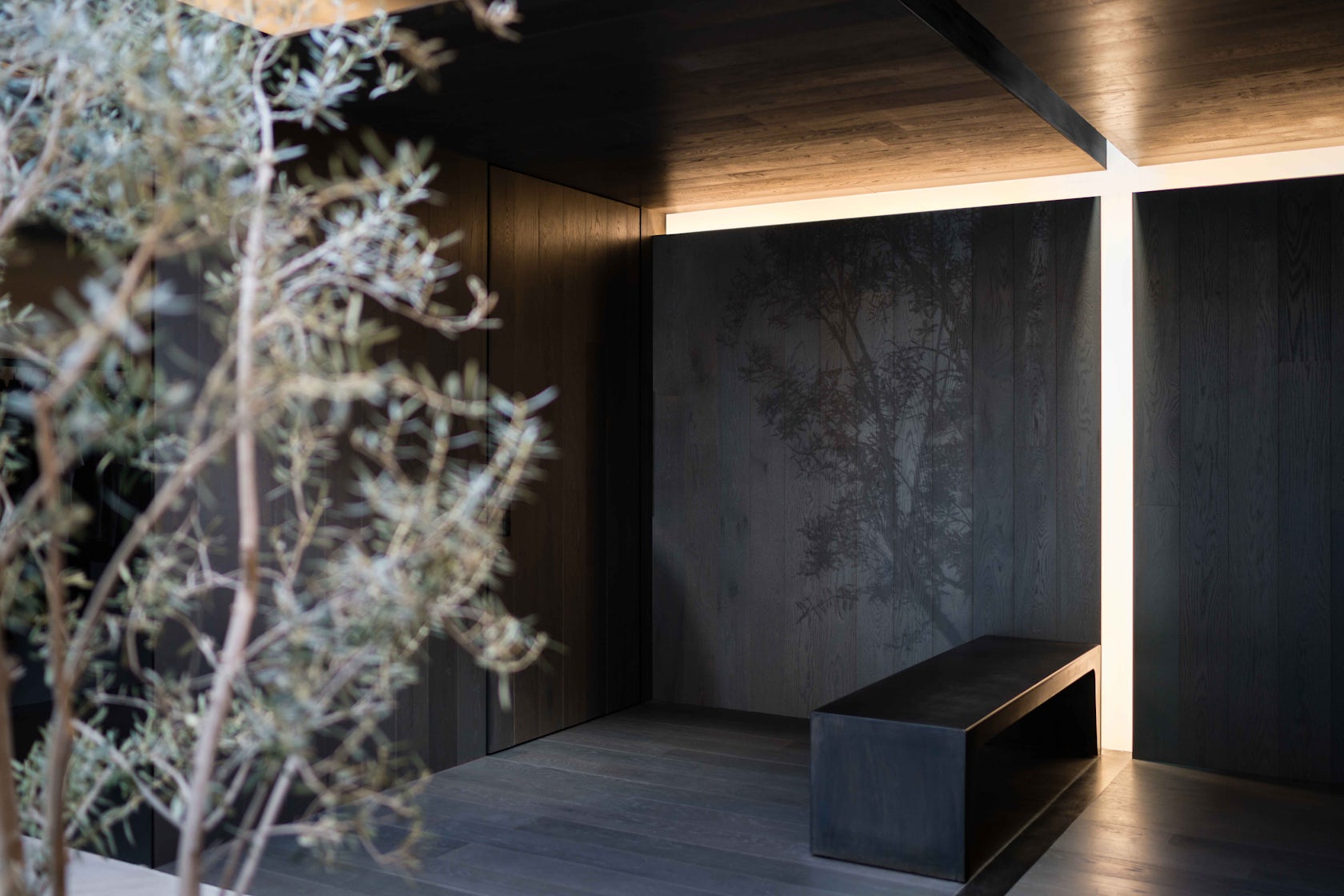 © Dan Brunn Architecture