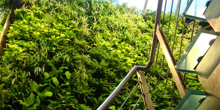 Tournesol Siteworks