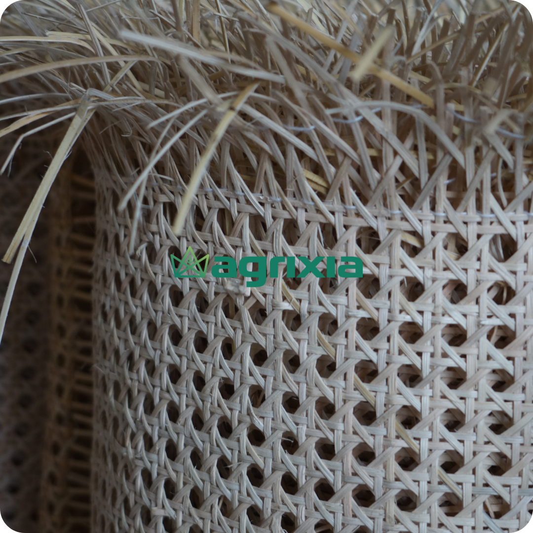 Natural Rattan Webbing Cane Open Hexagon | Grade AAA
