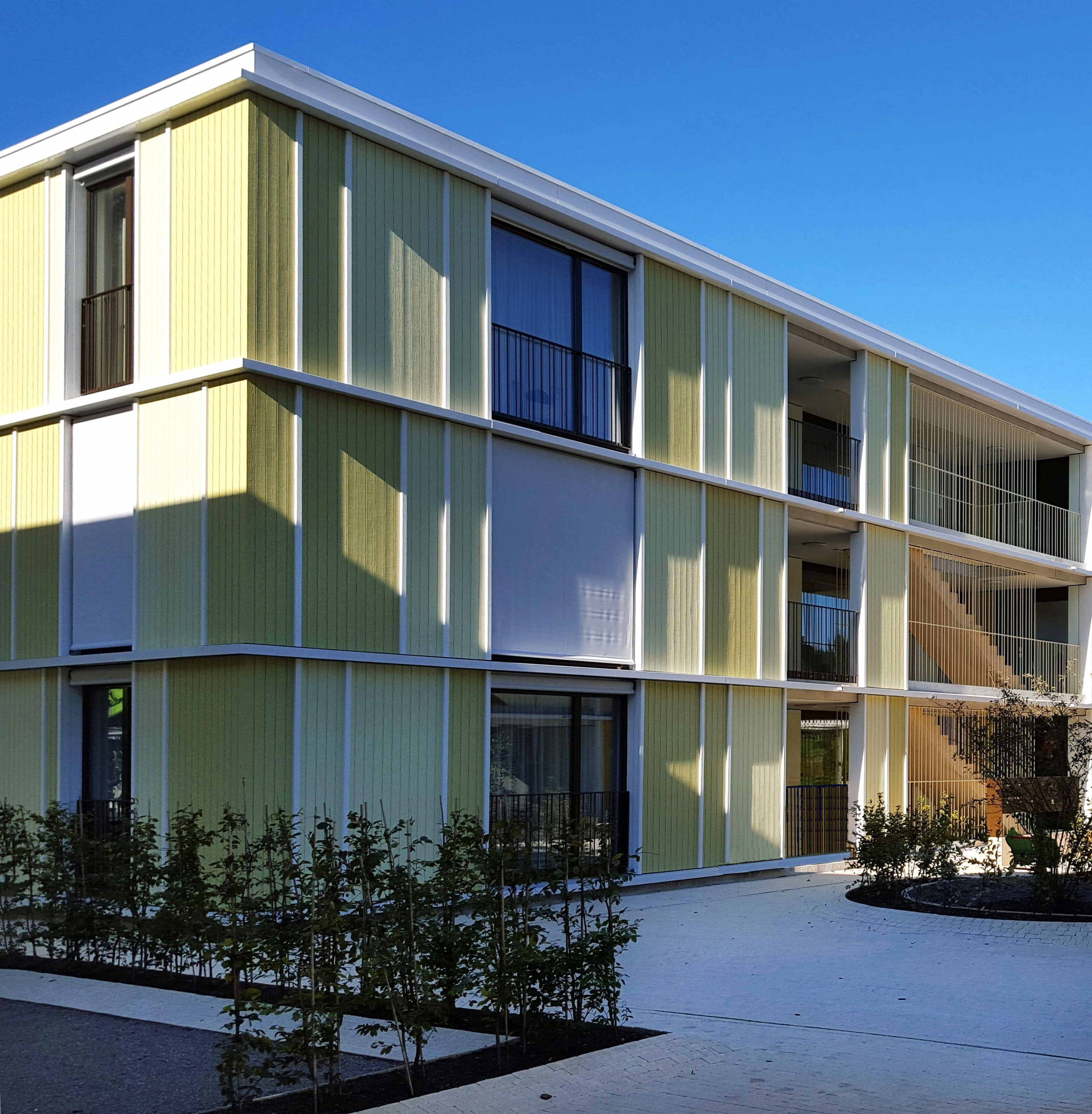 Mineral Wood Paint - Lignosil®-Color