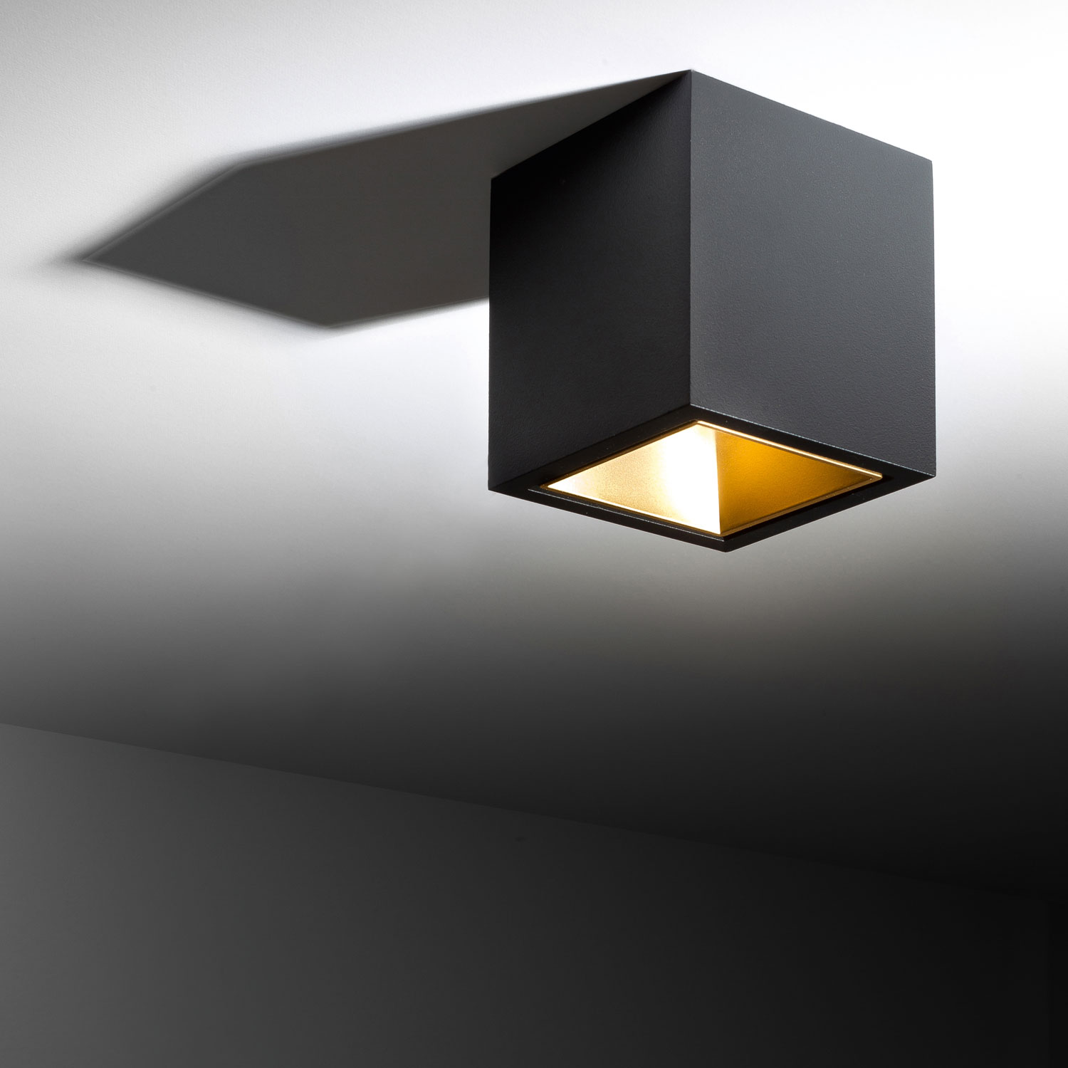 BOXY