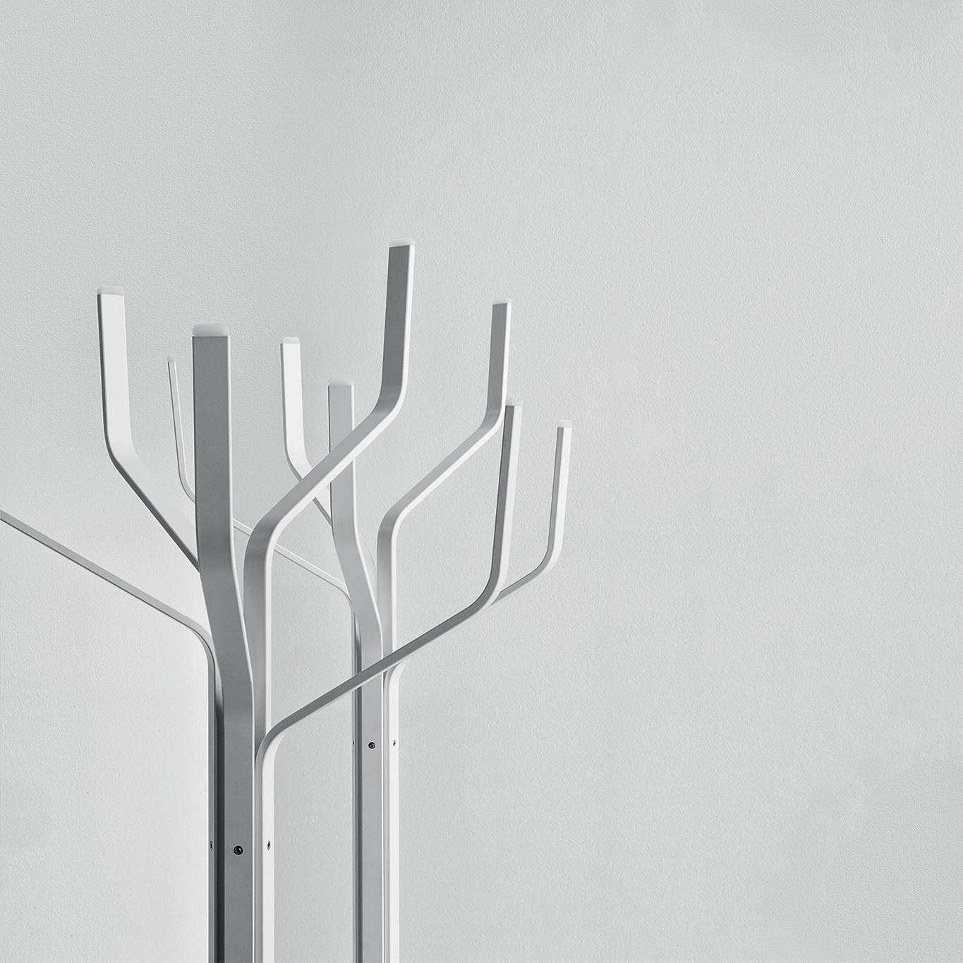 ALBERO