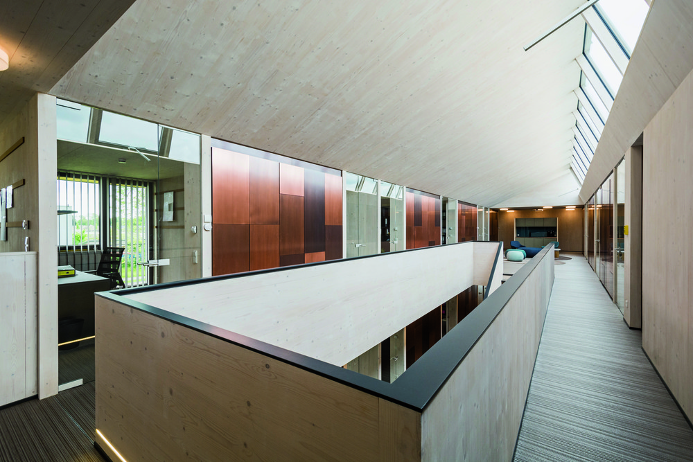 Interior Wood Stain - Lignosil®-Inco