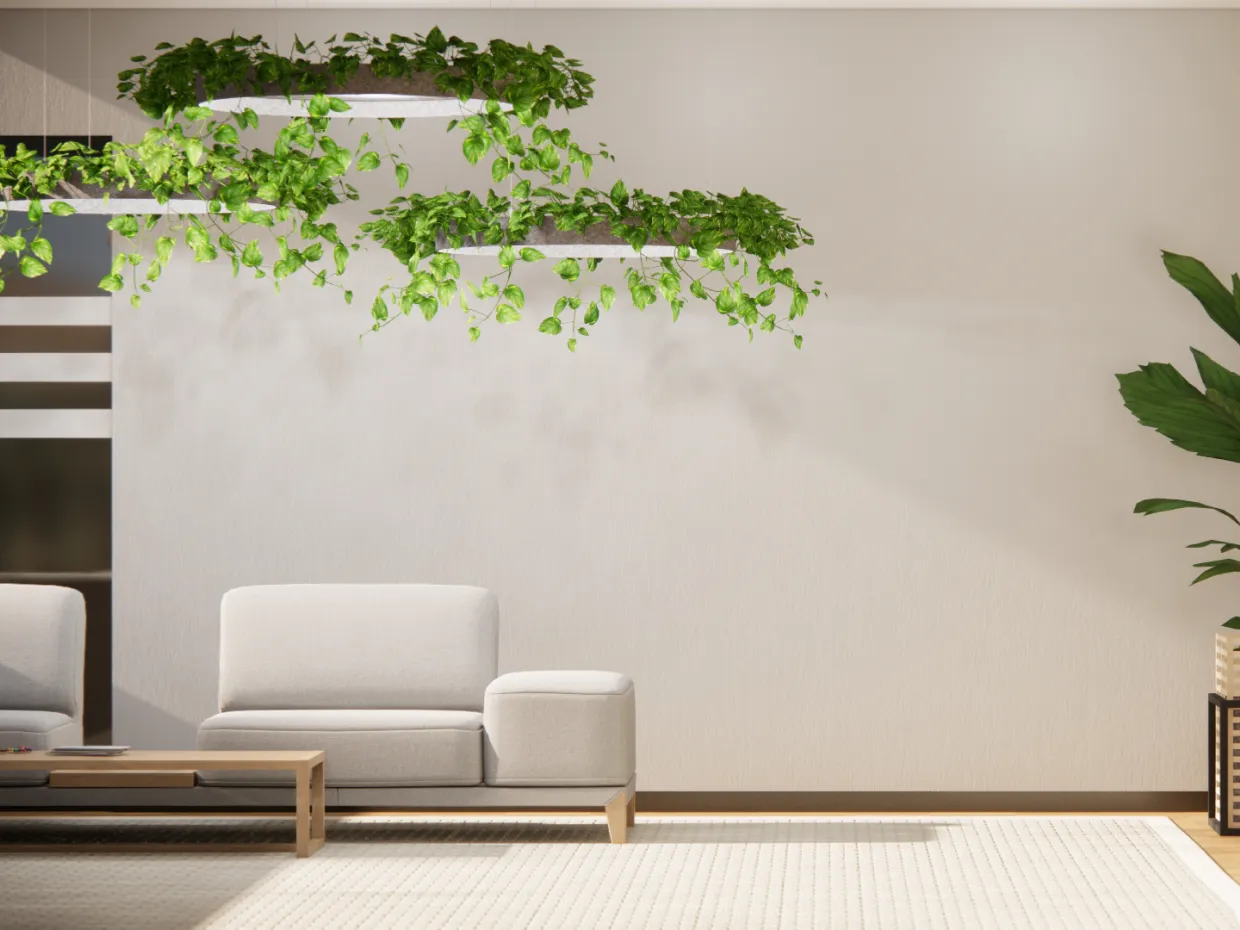 Canopy