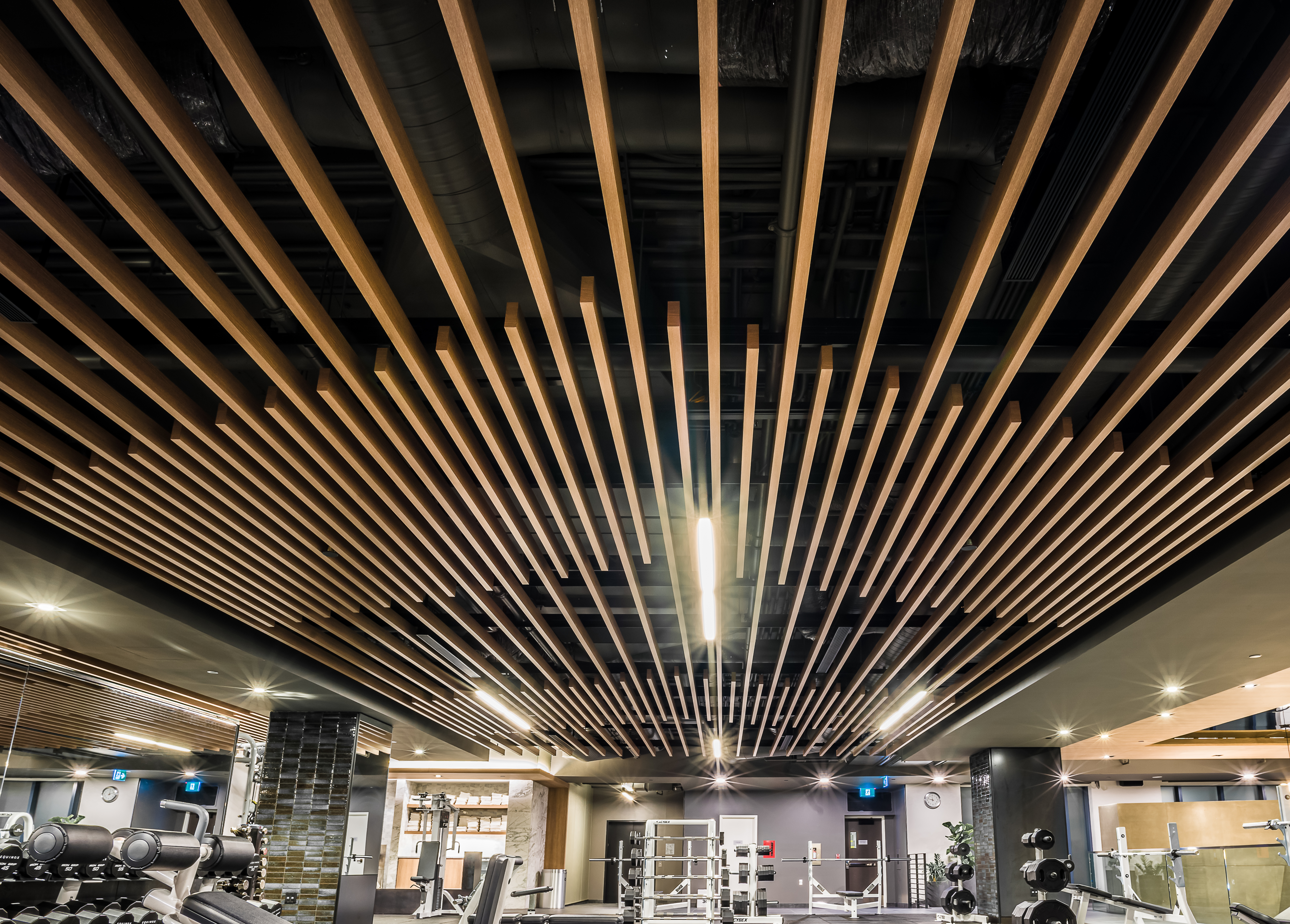 Dauntless Suspended Ceiling System