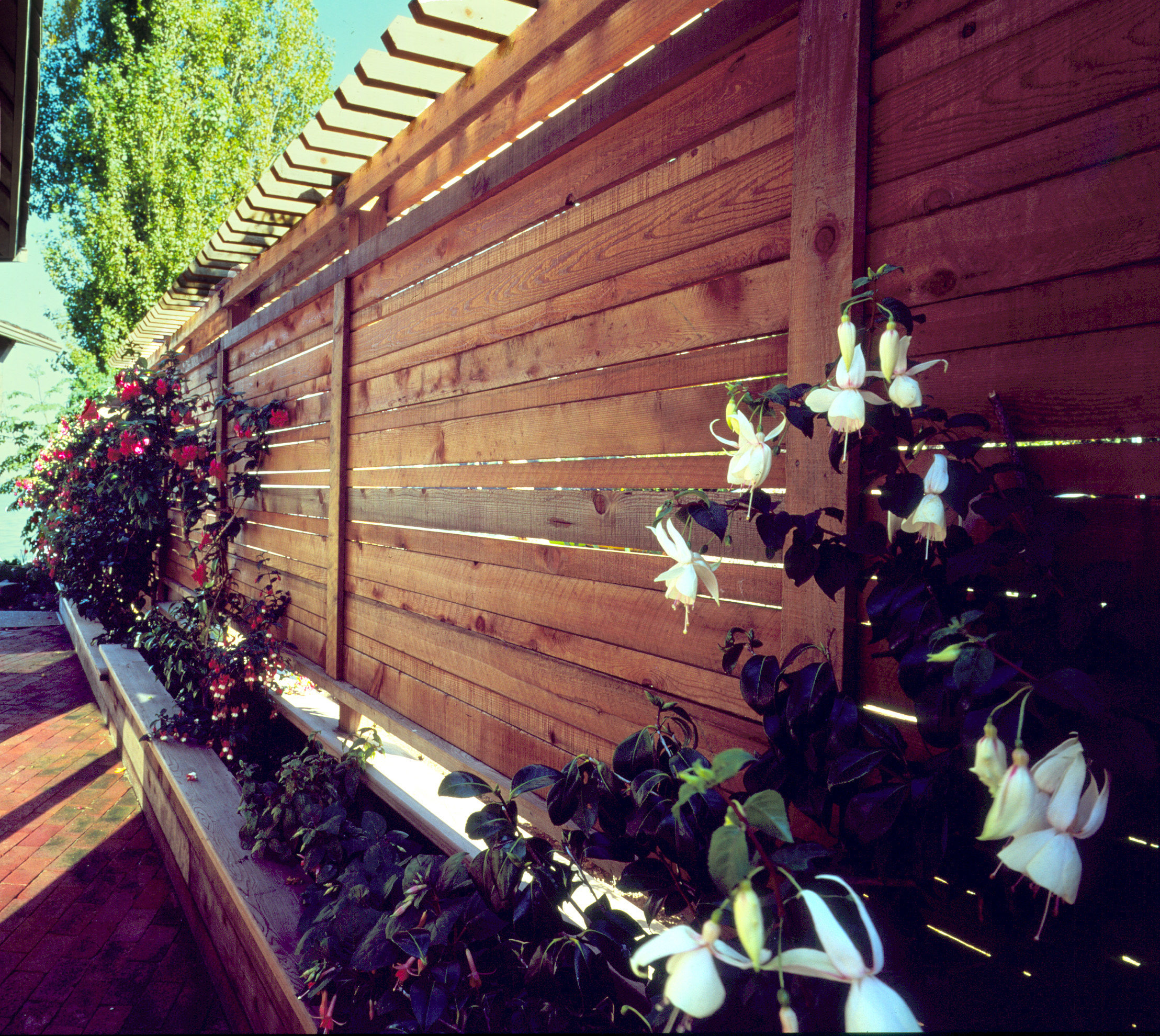 Redwood Fencing