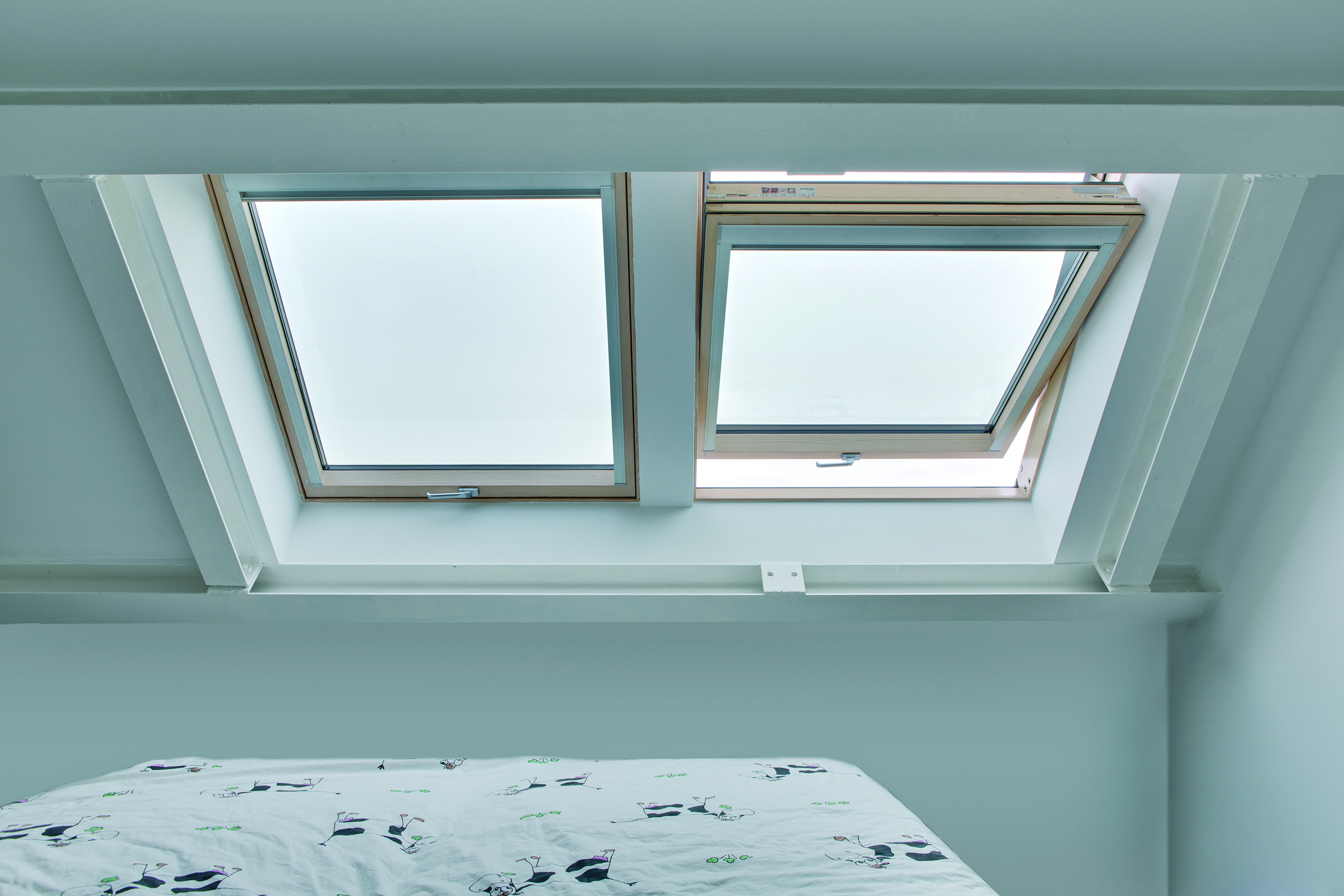 FTT, FTT Thermo, wooden pivot roof windows | FAKRO