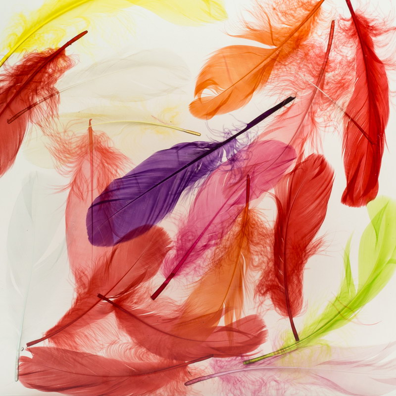 Feather Laminated Glass