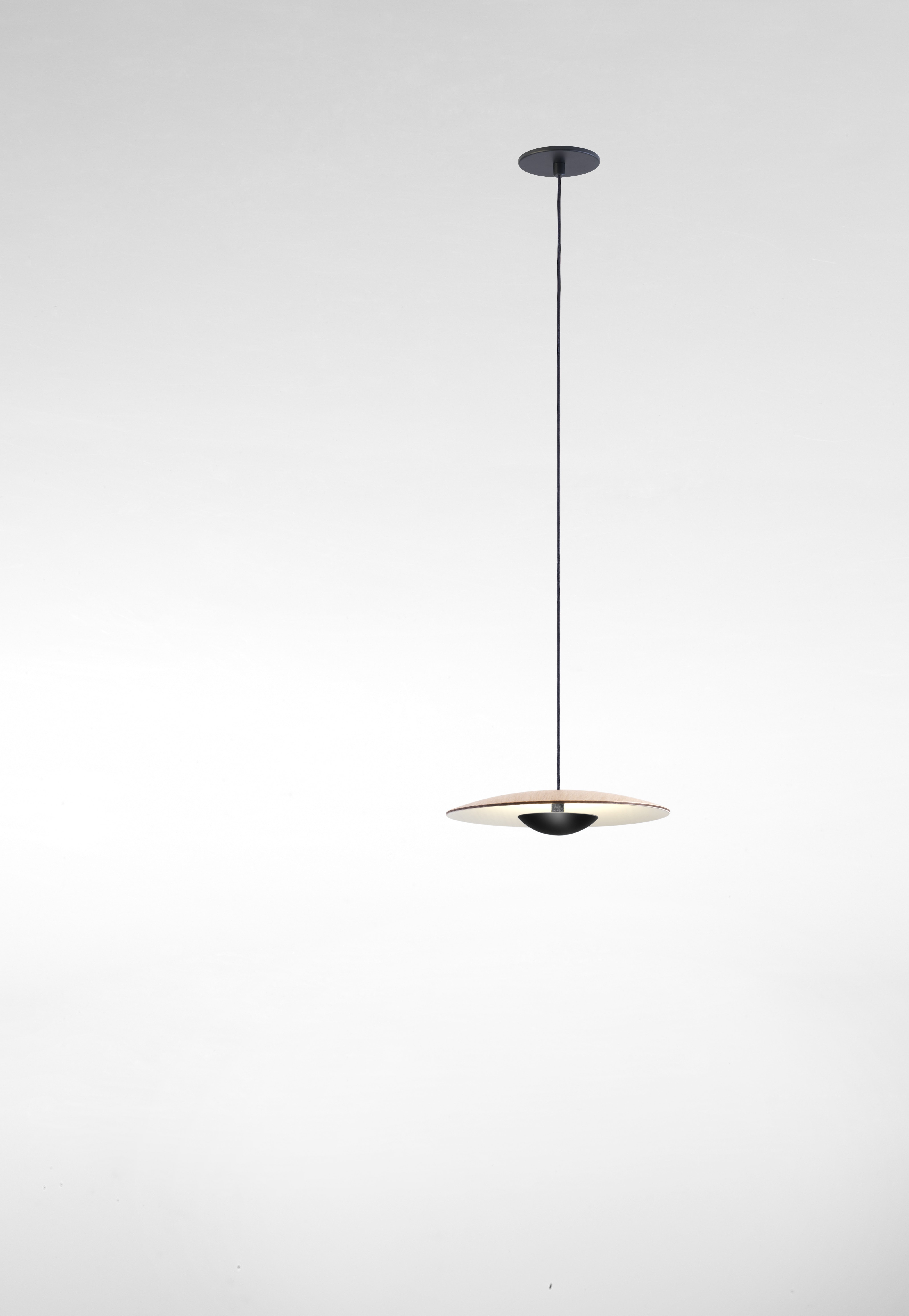 Ginger Pendant