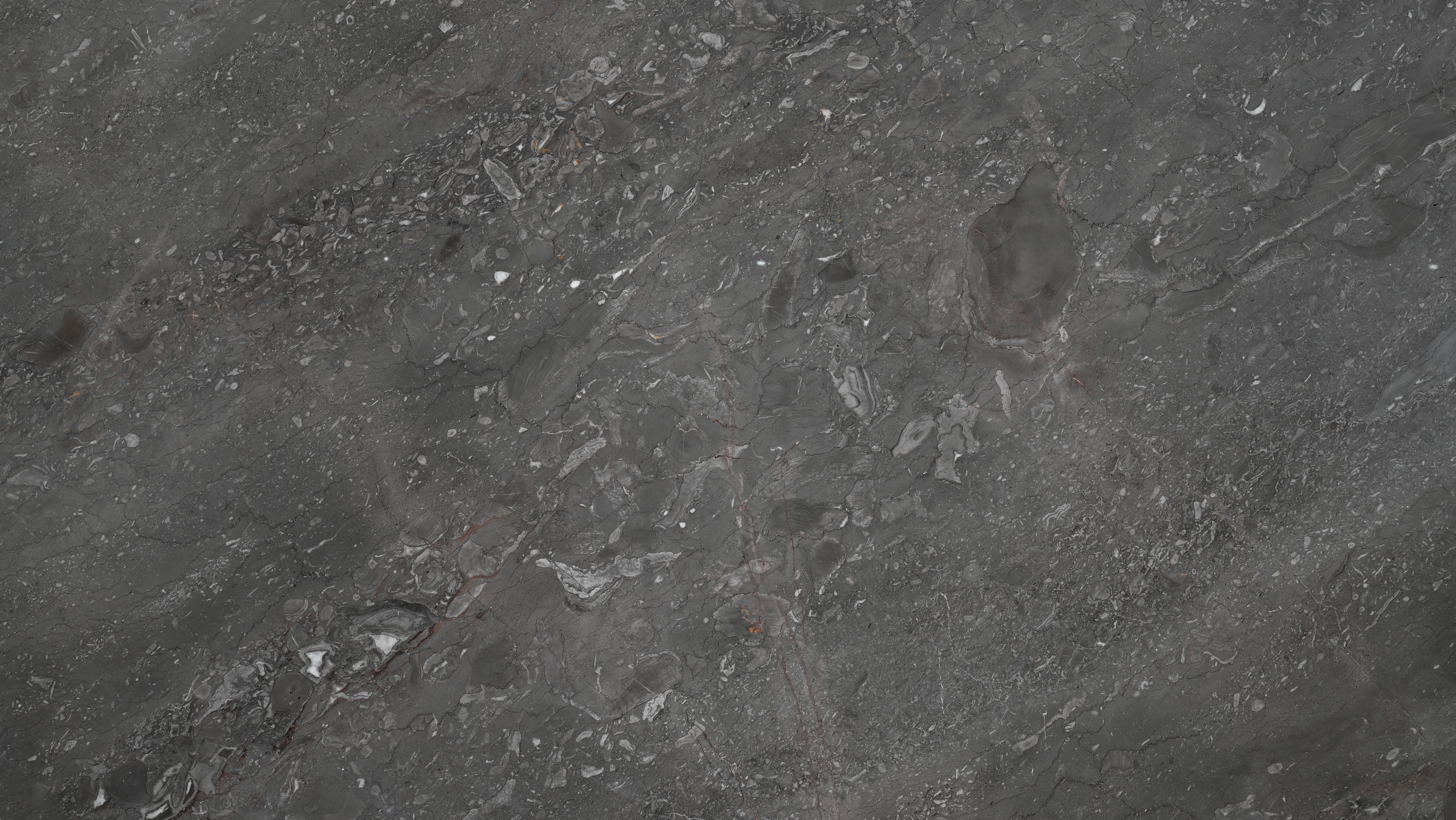 Grey marble Grigio Bruno