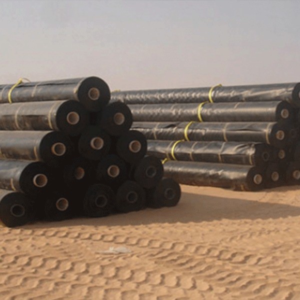 HDPE Geoemebrane