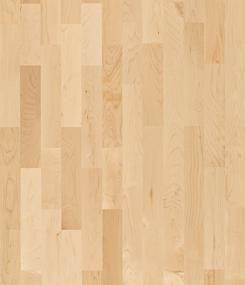 Maple Activity Floor