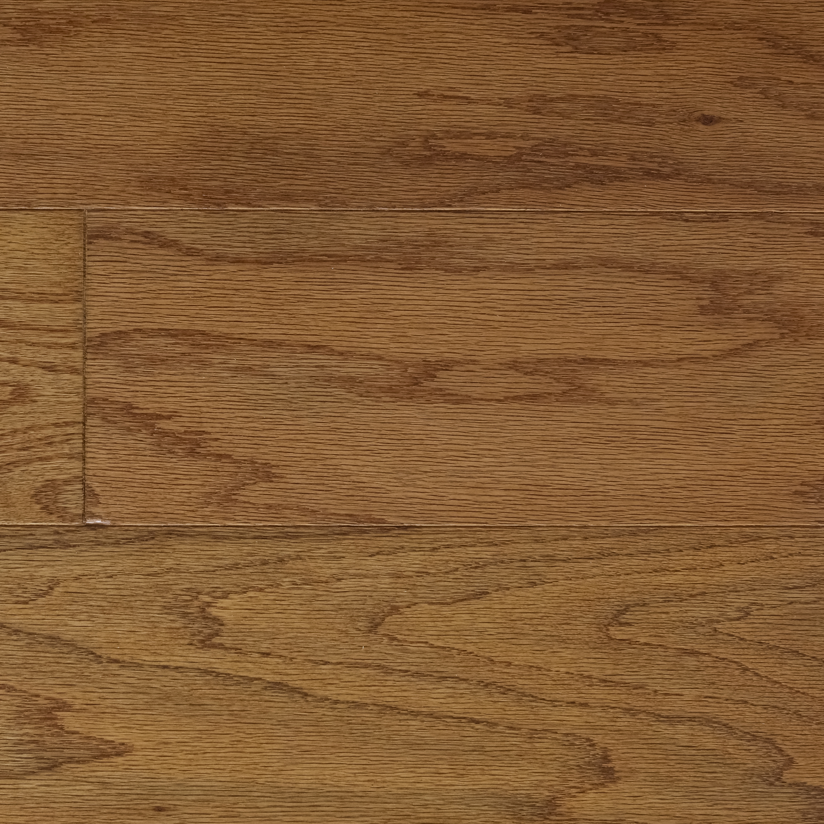 Hillshire Engineered Oak Hardwood Caramel
