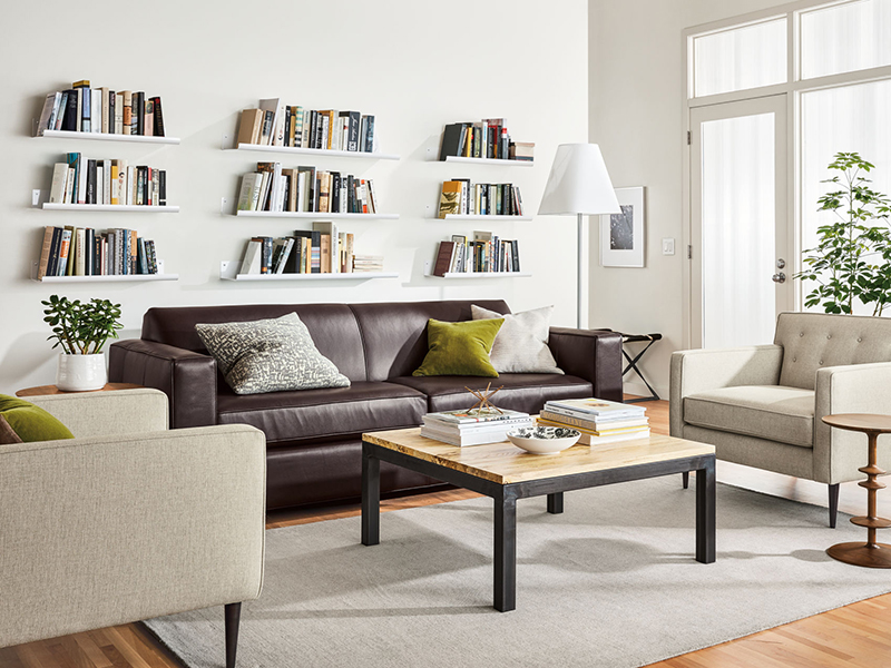 Ian Sofas and Sectionals