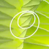 Studio Samira Boon logo
