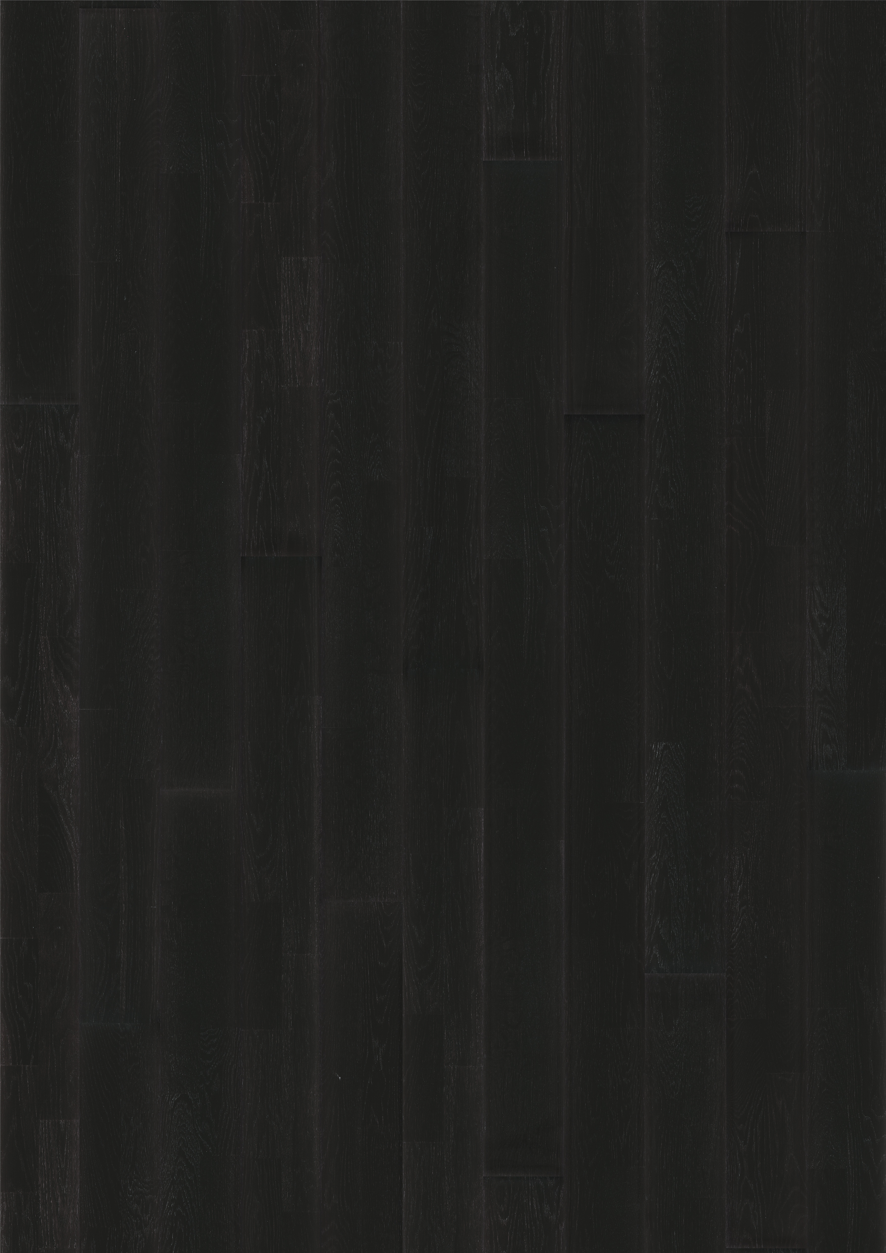 Nouveau Charcoal
