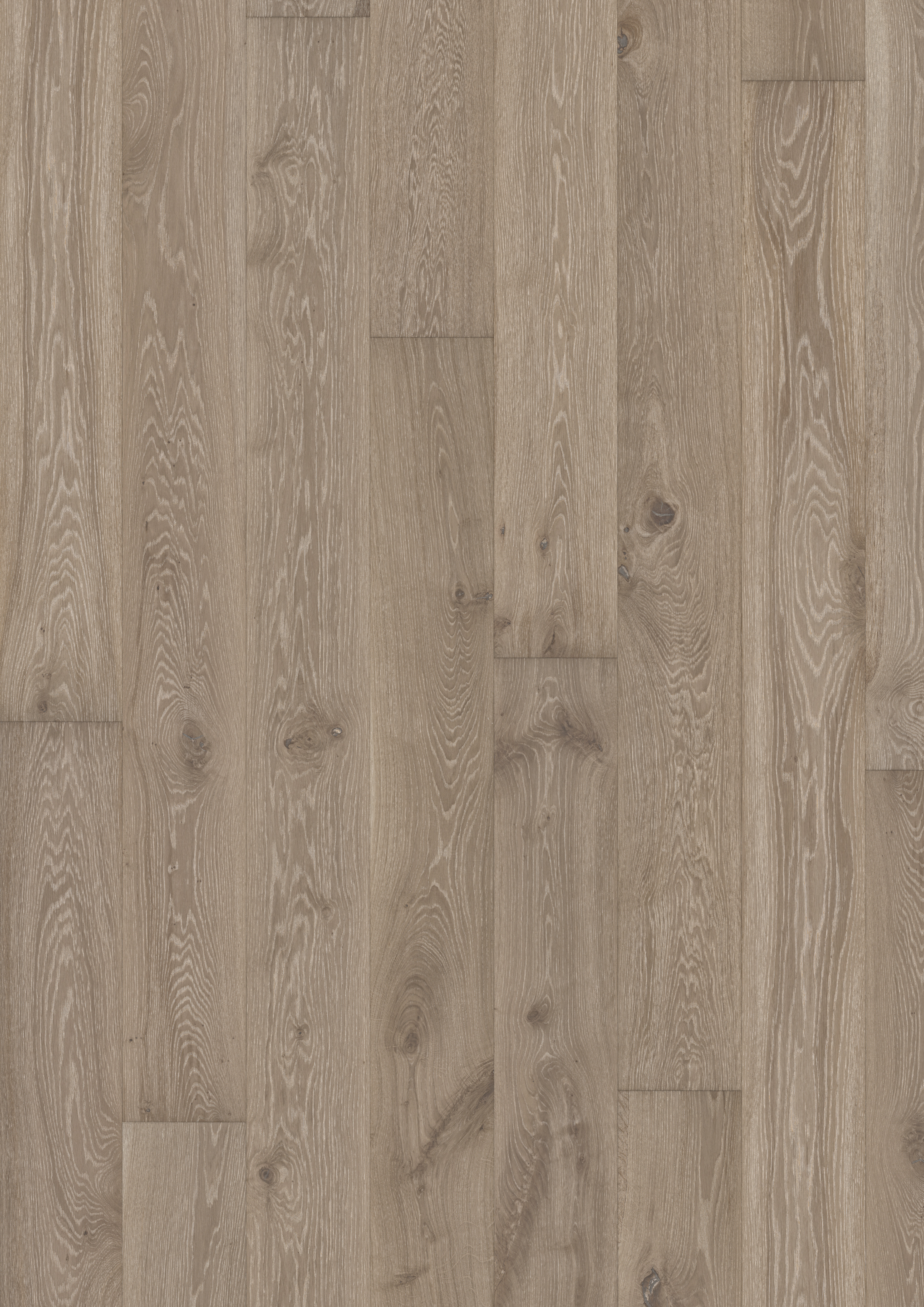 Nouveau Gray