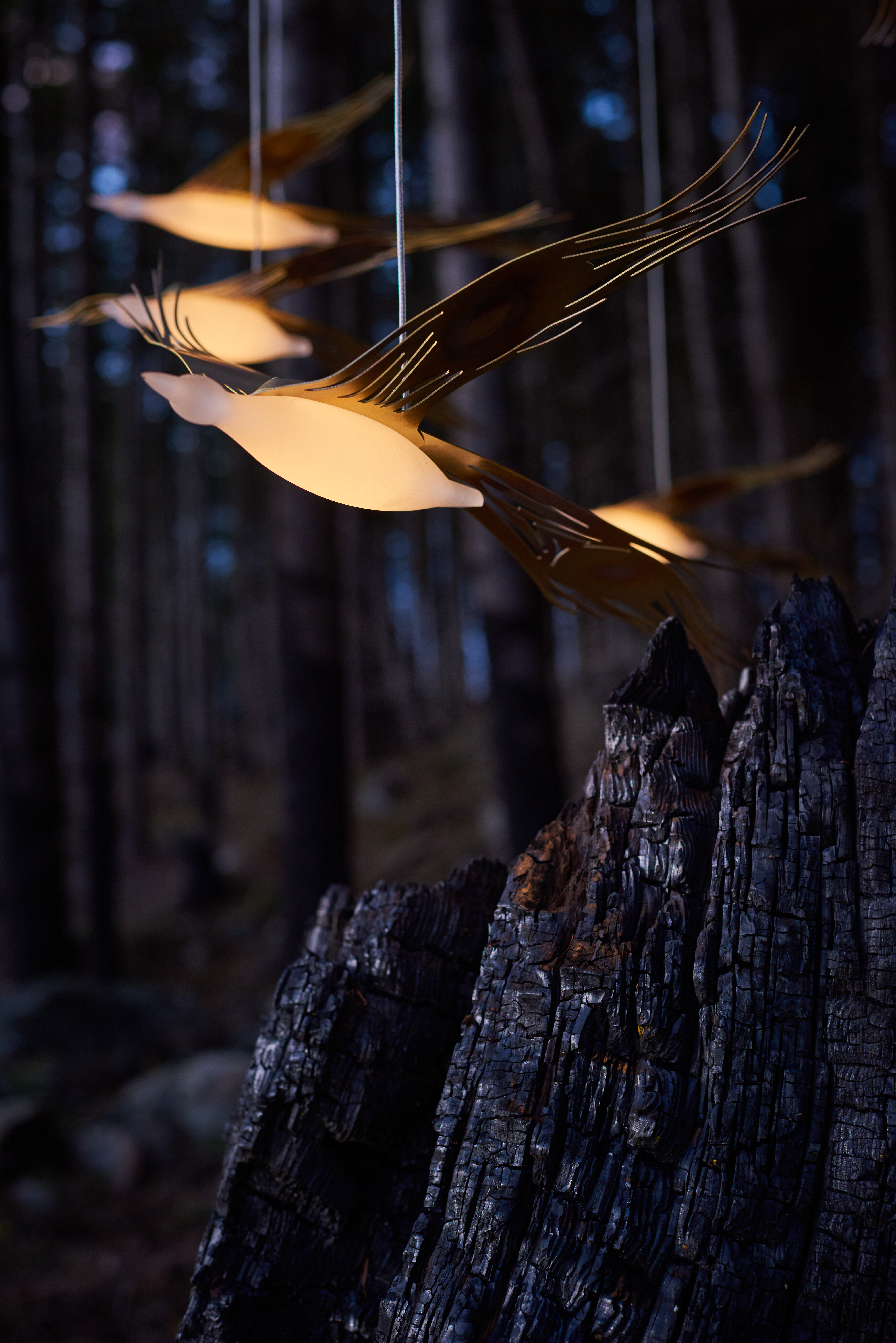 Phoenix