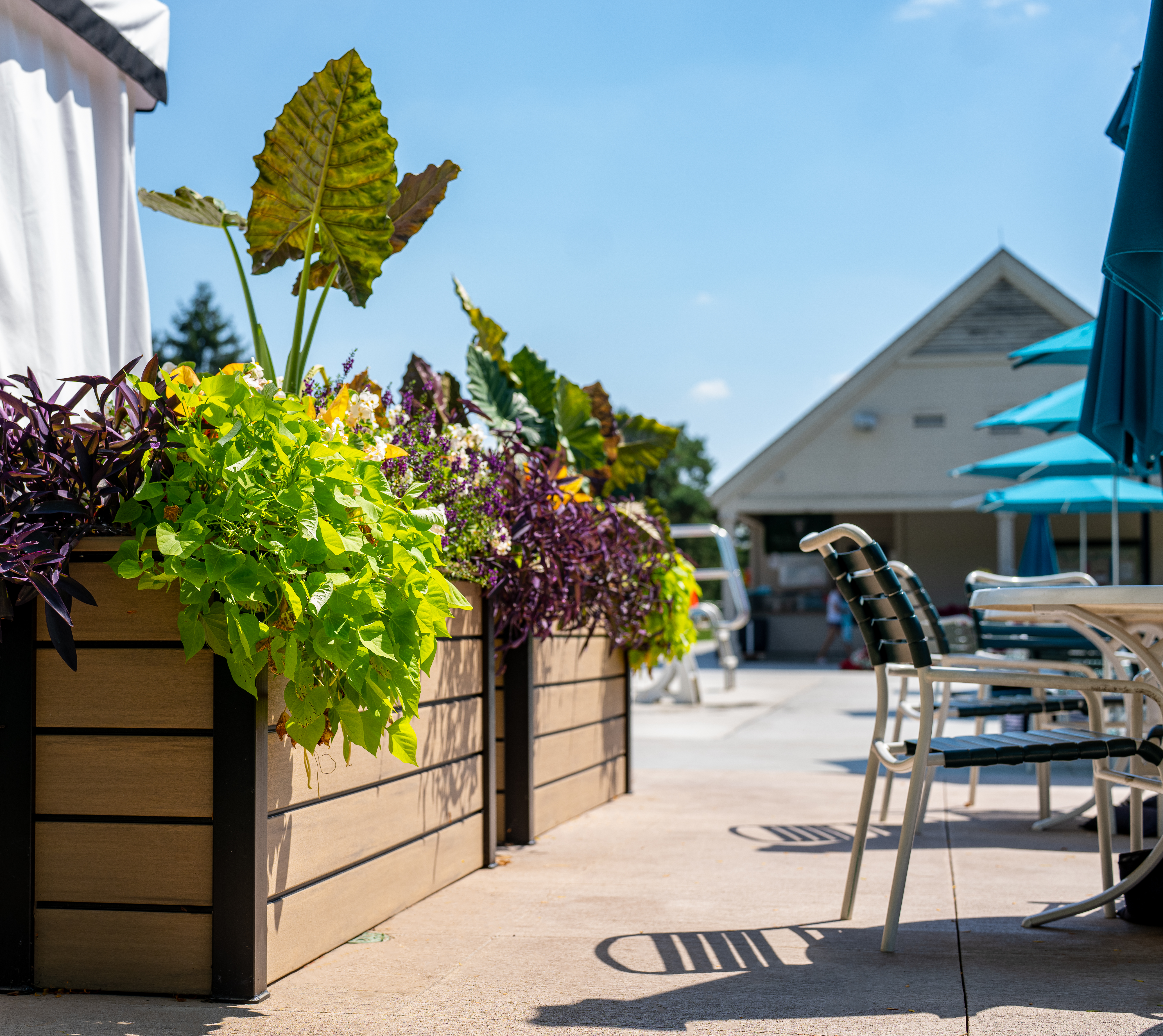 Planx Planters