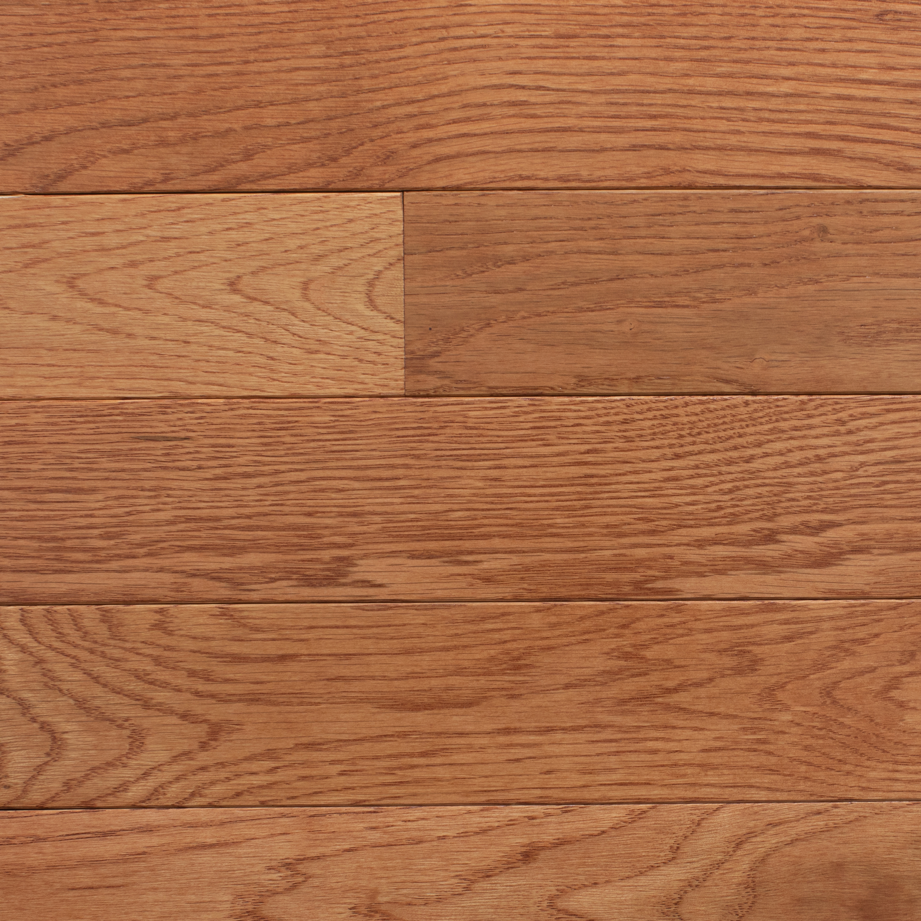 St. Andrews Solid Oak Hardwood Gunstock