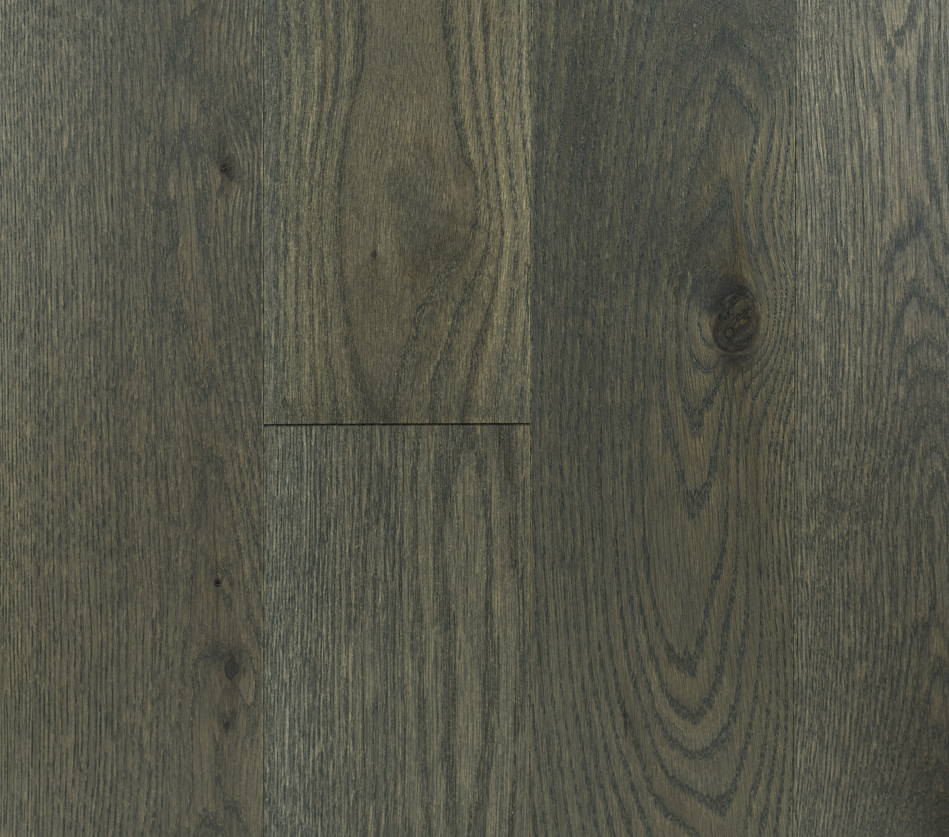 White Oak Zeus