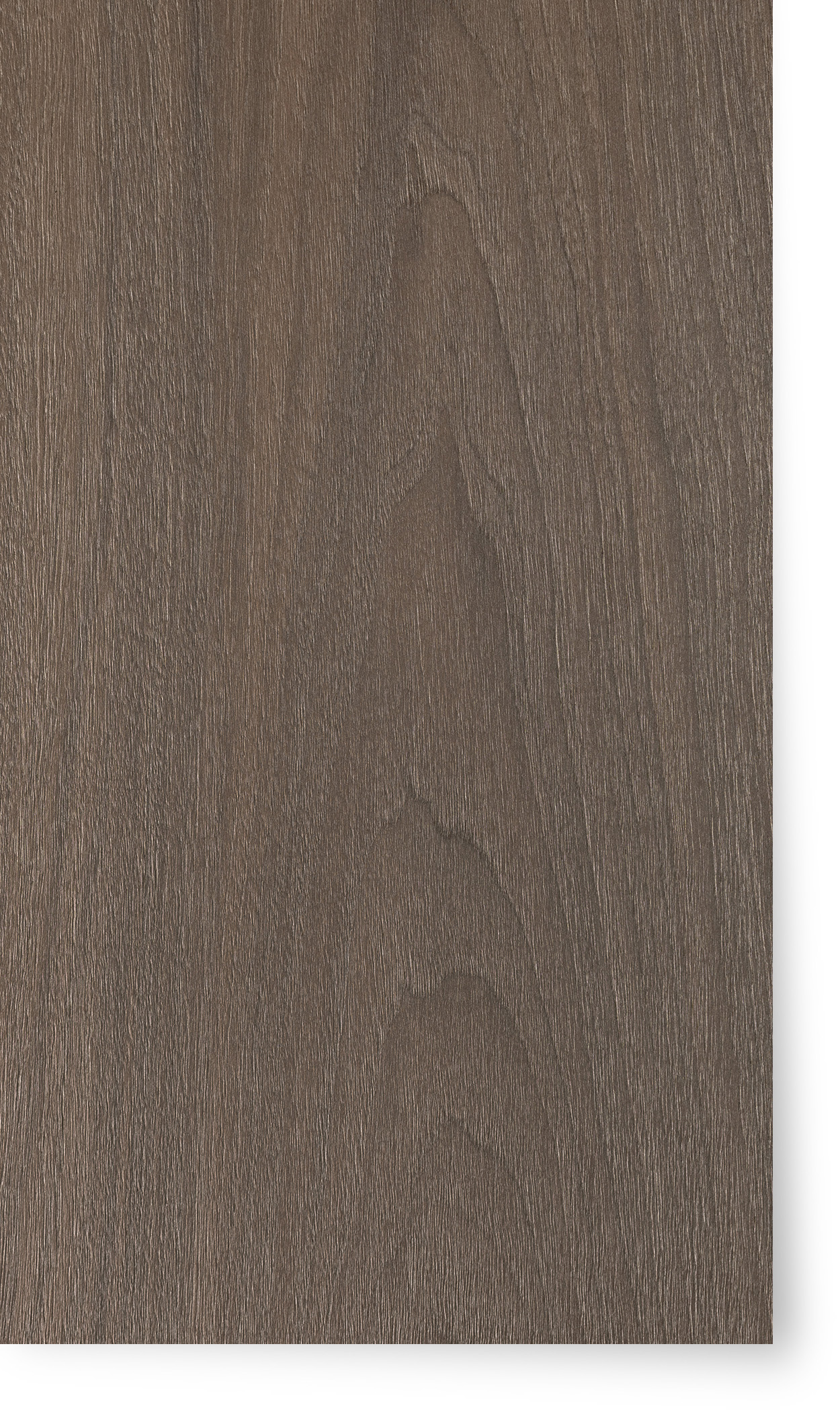 American Walnut  Champage Hardwax