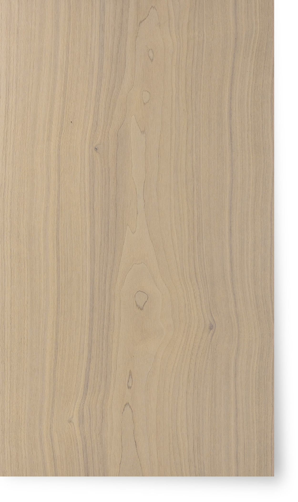 American Walnut  Saltwashed Extramatt Poly