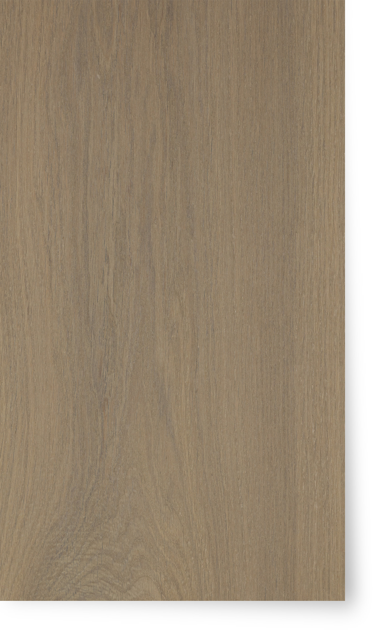 Continental Oak Faded Silvergrey Velvet Poly