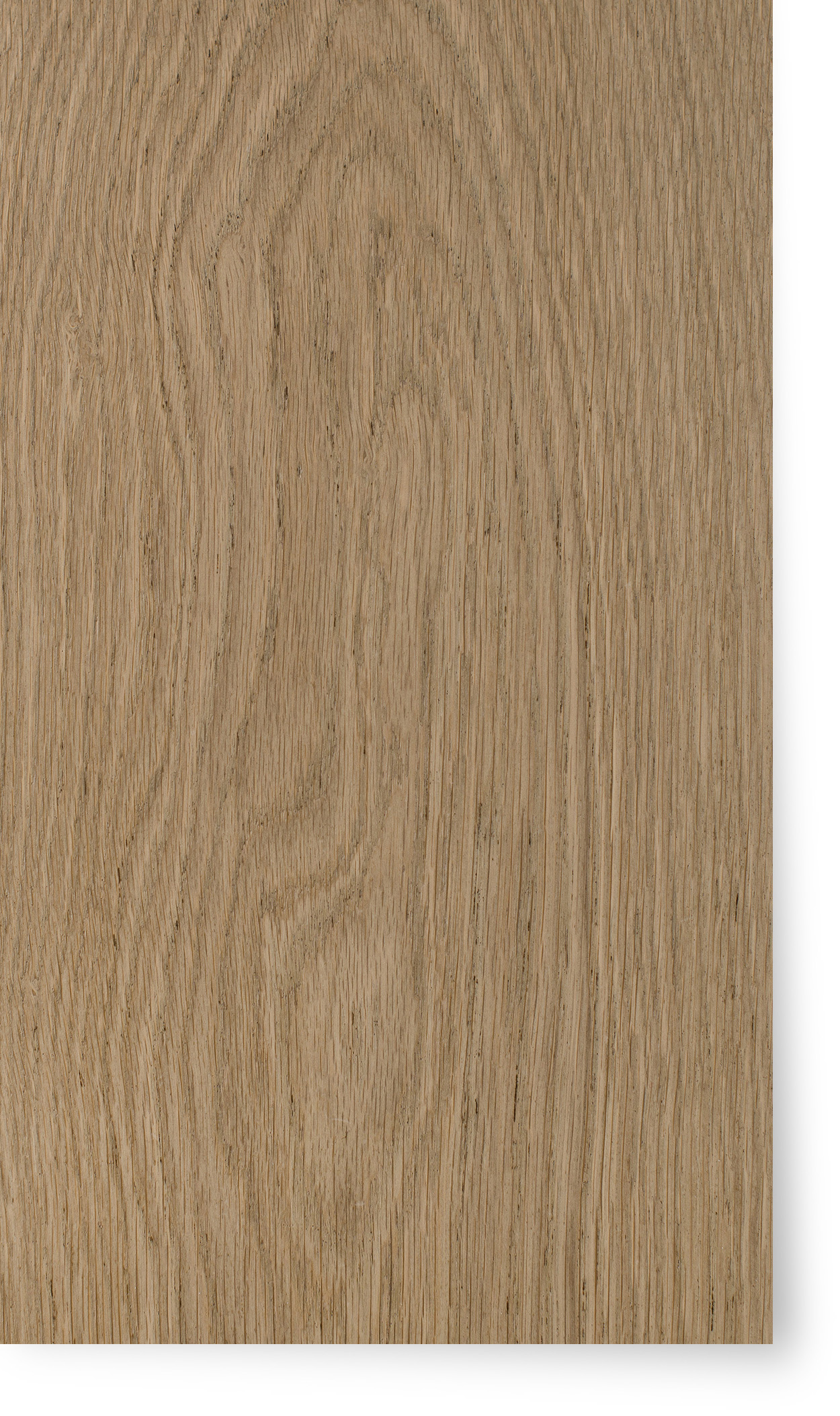 Continental Oak Marignan Velvet Poly