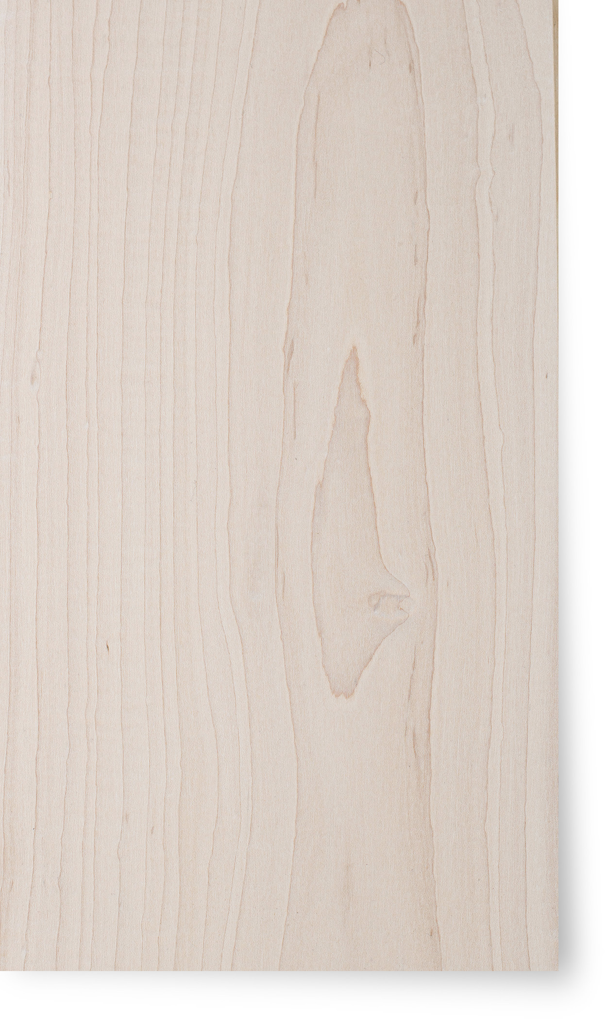 Maple  Faded White Velvet Poly
