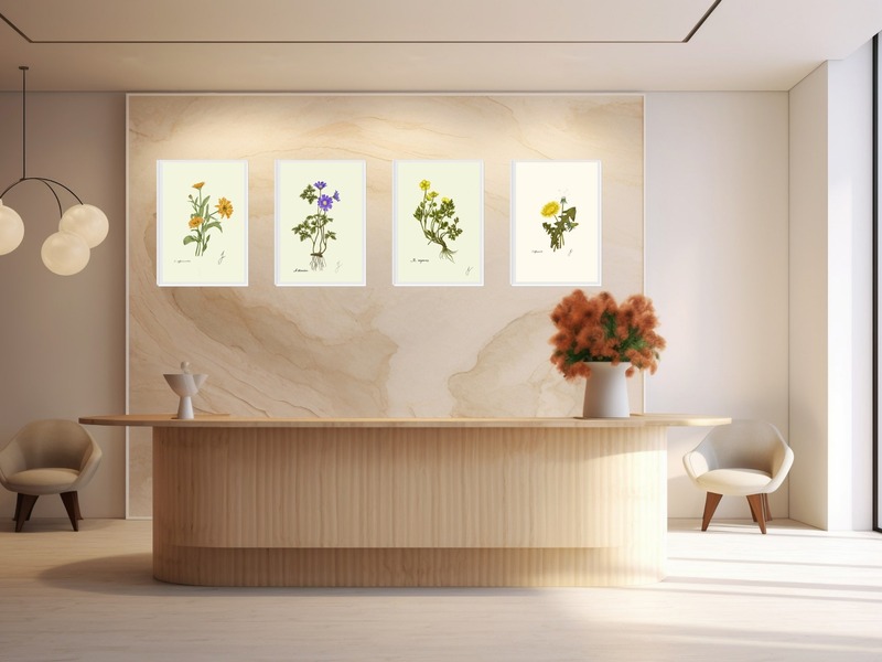 Botanical Plates — Archival Fine-Art Prints