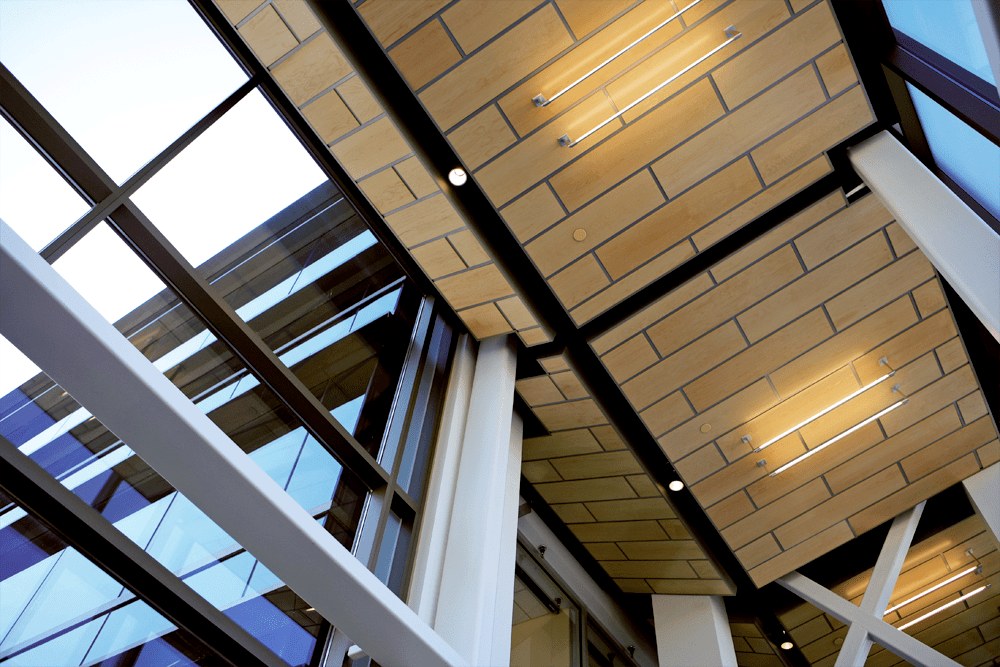 Fusion Perforated or Non-Perforated Ceiling and Wall Panels