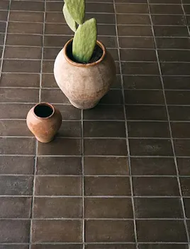 Exquisite Surfaces