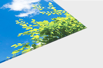Printed Light Lens Ceiling Tile