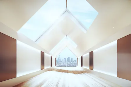 Birdview Skylights