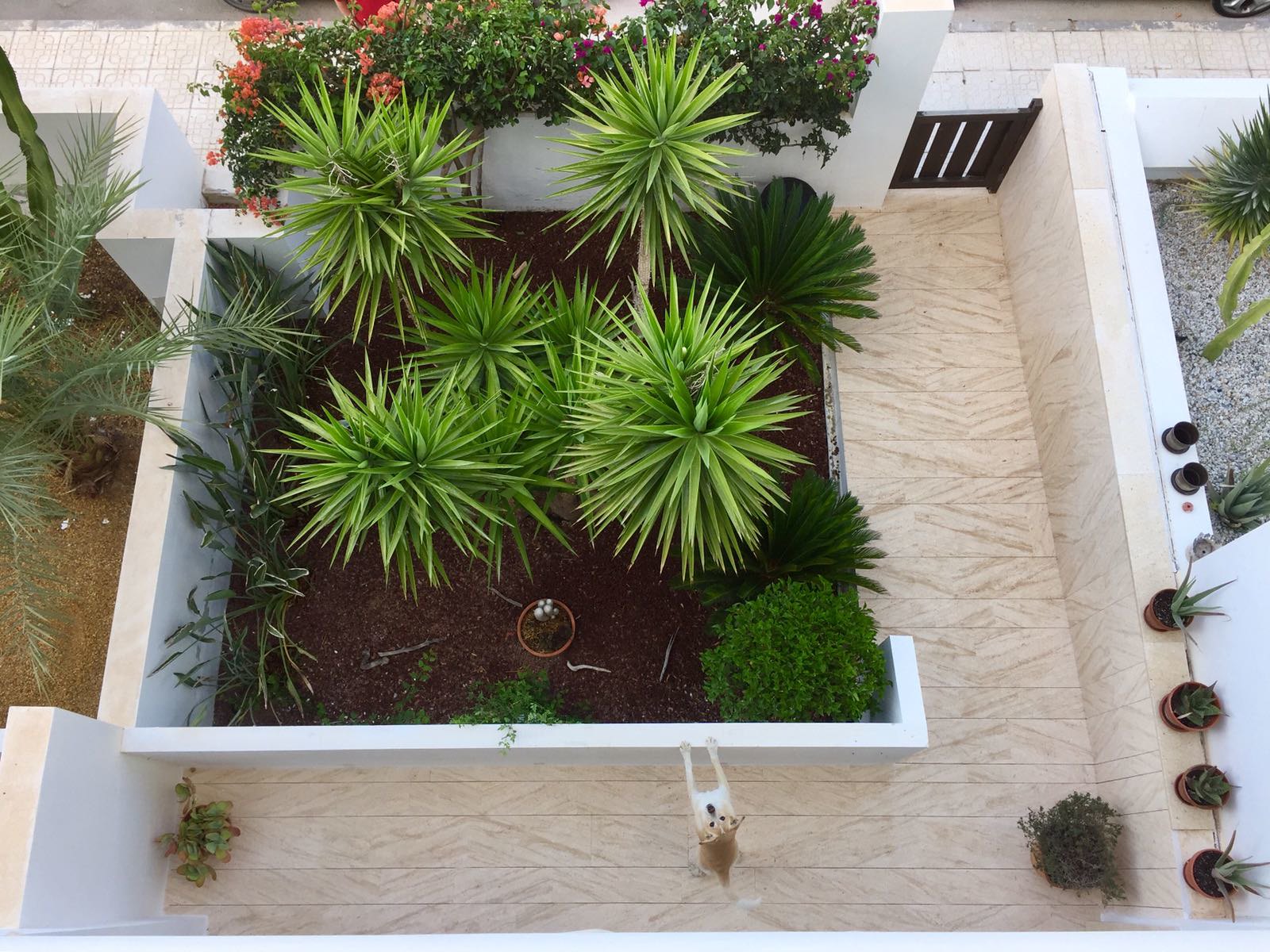 EXTERIOR FLOORING in natural stone Marina Rosal