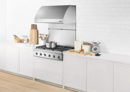 Fisher & Paykel