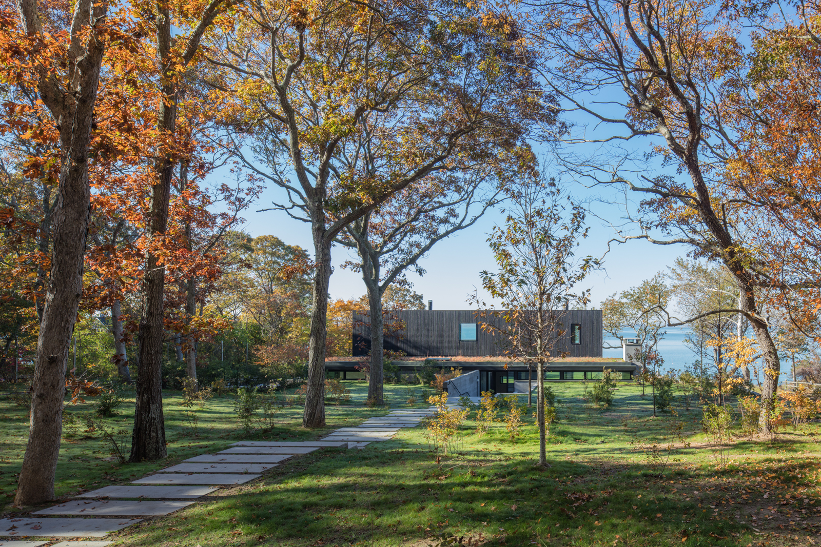 Louver House by Leroy Street Studio Architizer