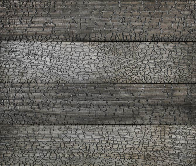 Accoya | Delta Gator 