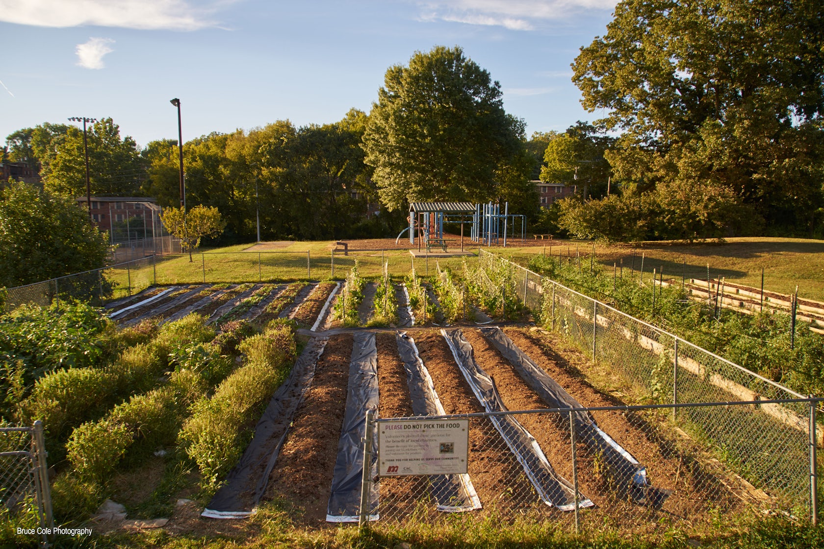 © Elizabeth Eason Architecture, University of Tennessee College of Architecture and Design