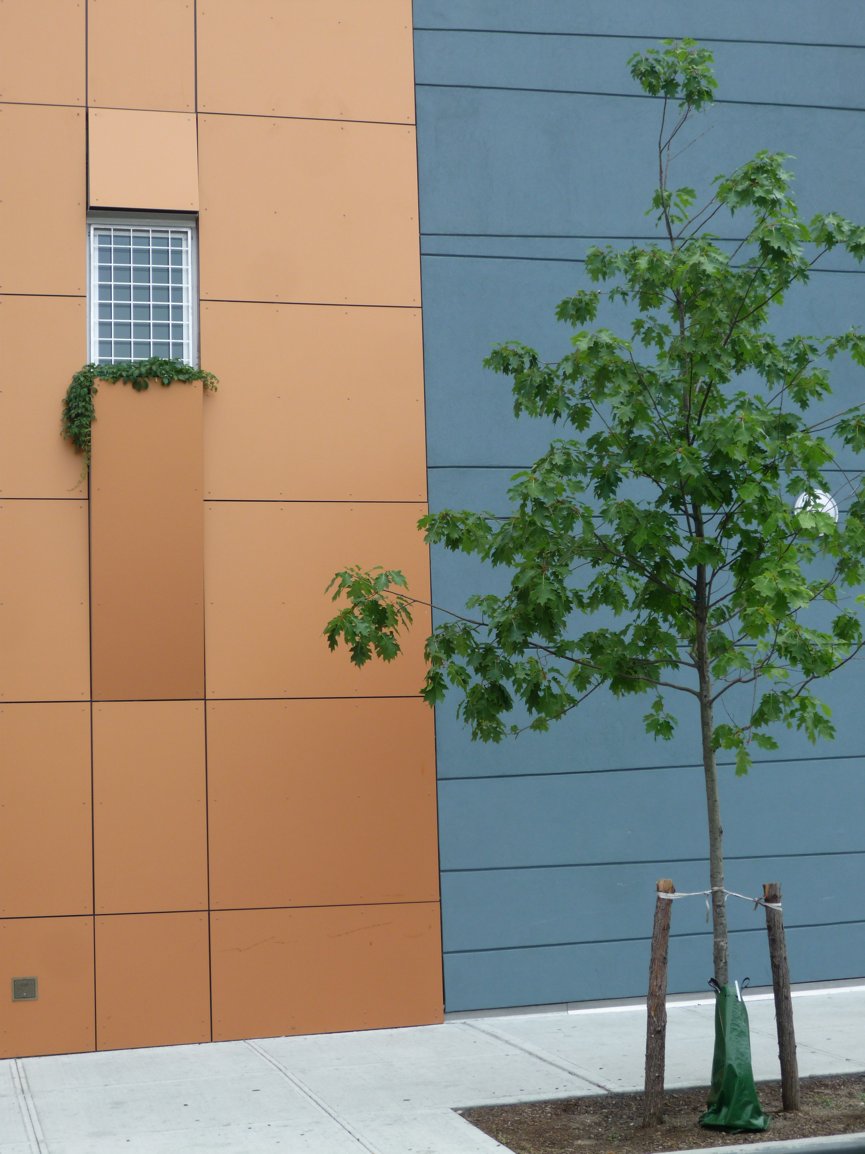 491 Fletcher Street by Chris Benedict R.A. Architizer