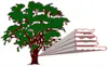 Keiver Willard Lumber logo