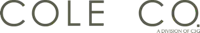 Vanity Bath logo