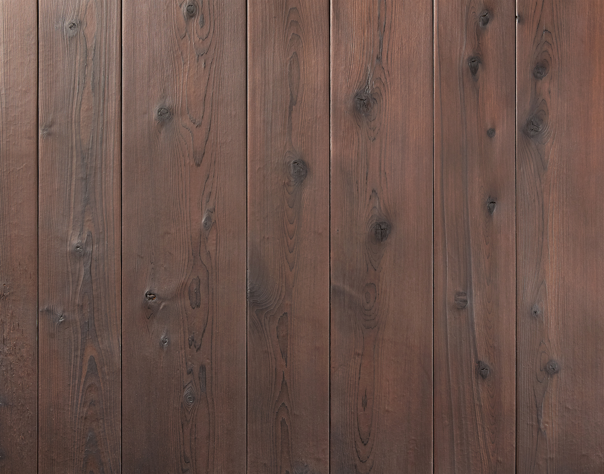 Skyline Cedar — Shou Sugi Ban Bronze
