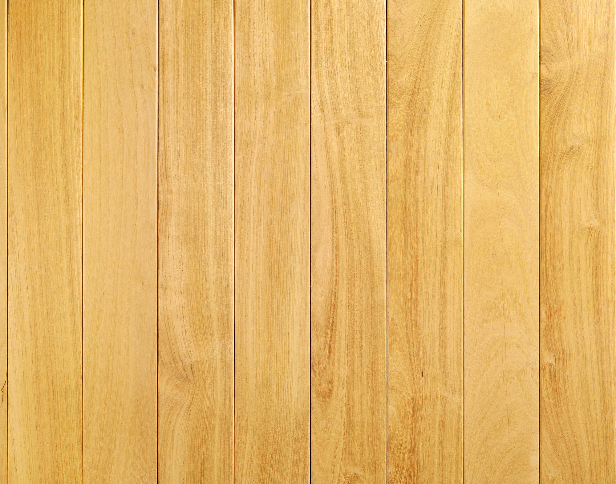 Black Locust — Natural