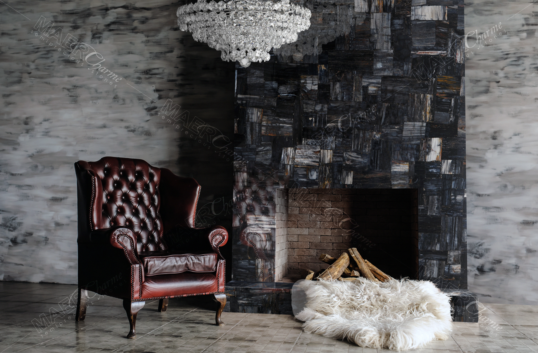 Petrified Wood Black Jurassic