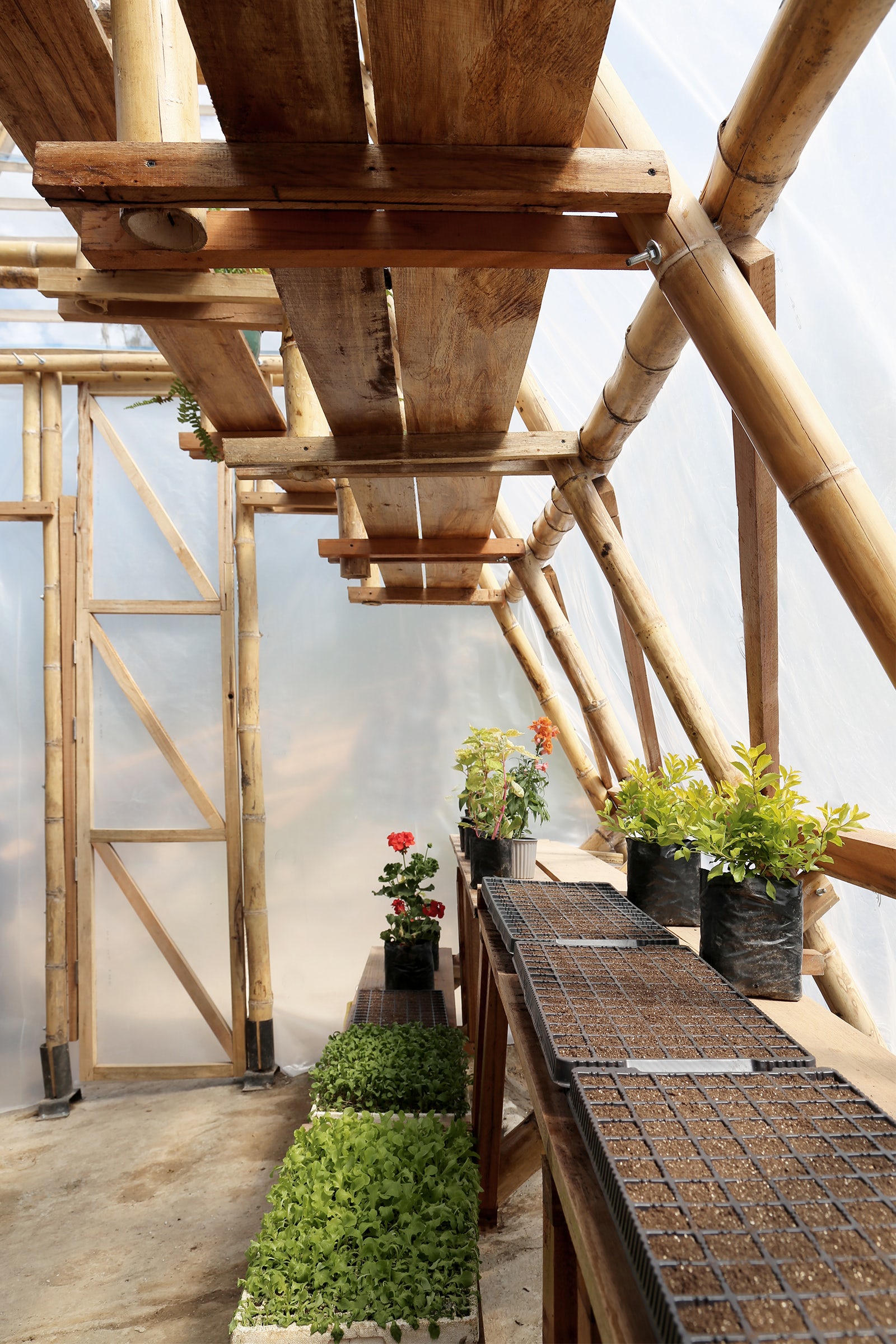 © Natura Futura Arquitectura